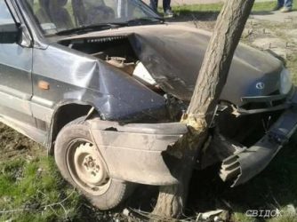 Если врезался в дерево что делать?