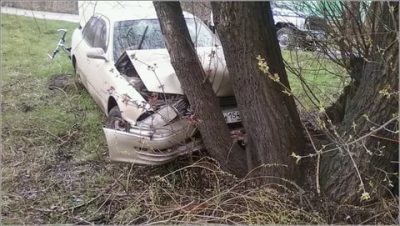 Если врезался в дерево что делать?