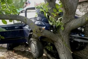 Если врезался в дерево что делать?