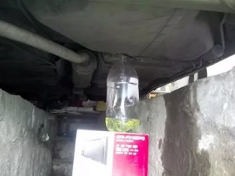 Как слить бензин с дэу матиз?