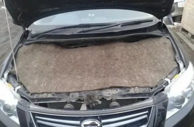Как утеплить авто на зиму своими руками?