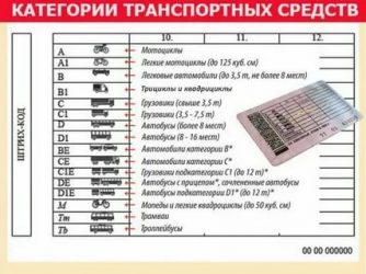 Какая категория нужна для управления автобусом?