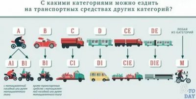 Какая категория нужна для управления автобусом?