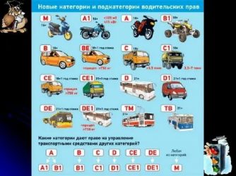 Какая категория нужна для управления автобусом?
