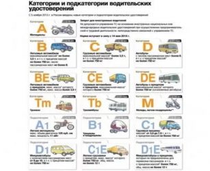 Какая категория нужна для управления автобусом?