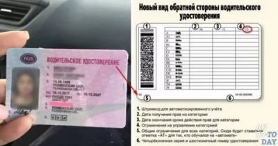 Категория в МКПП что это?